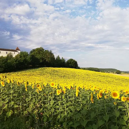 Chateau De Lamothe D'anthe