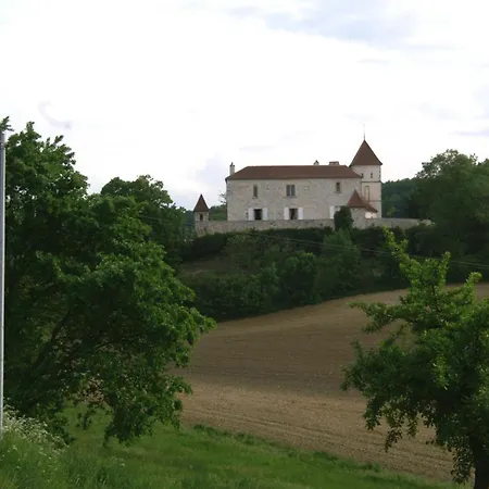 Casa di campagna Chateau De Lamothe D'anthe *