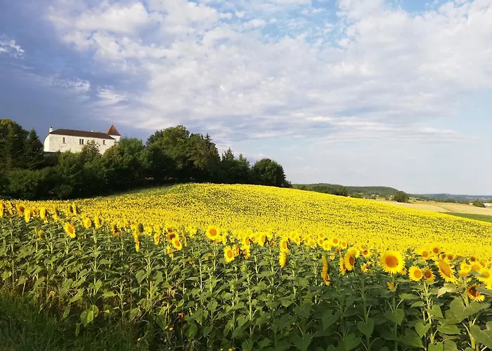Chateau De Lamothe D'anthe