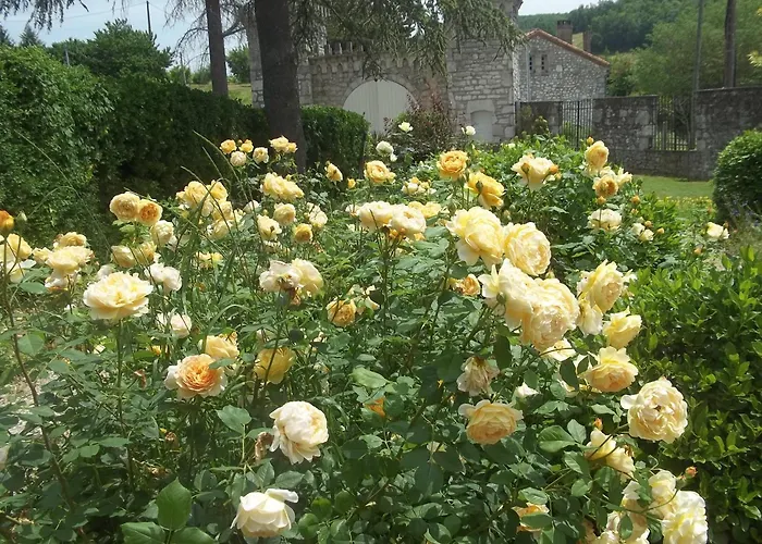 Chateau De Lamothe D'anthe * Tournon-dʼAgenais